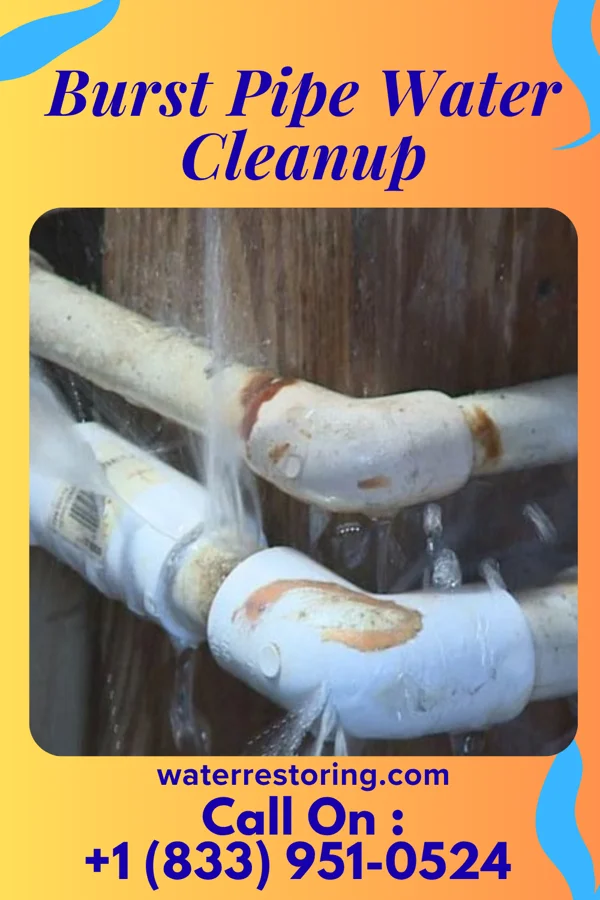 Burst Pipe Water Cleanup in Hartville, MO